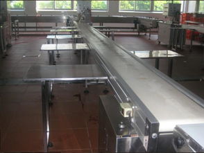 食品輸送線報價與廠家選擇指南，助力電子產品銷售企業優化供應鏈